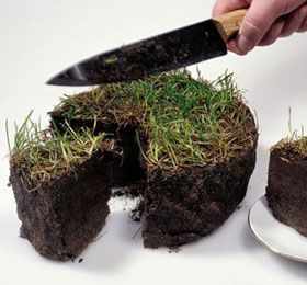 Идея земельного проекта с участием Всемирного банка суперамбициозна