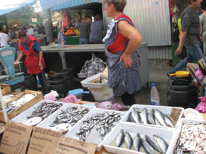 На одесском "Привозе" рыба-неконтролируемый промысел